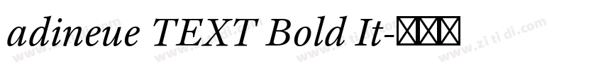 adineue TEXT Bold It字体转换